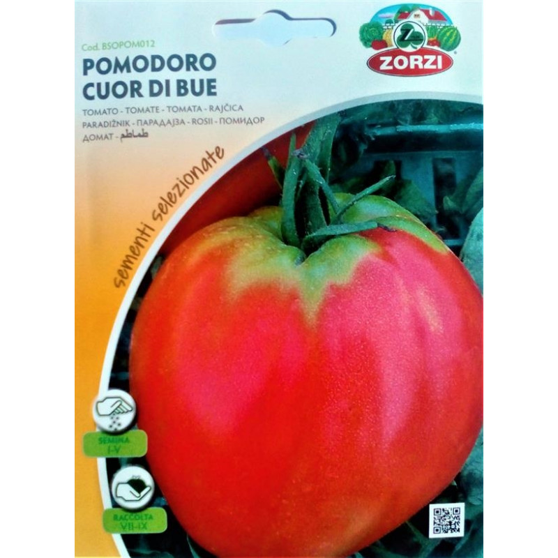 Tomate Coeur de Boeuf - Zorzi