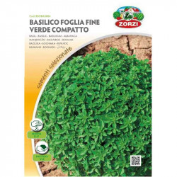 basilic fin vert compact -...