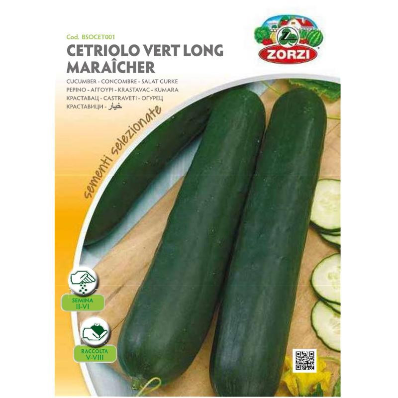 Concombre Vert Long Maraicher  - Zorzi