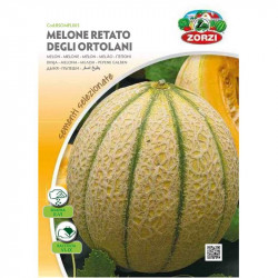 melon retato - Zorzi