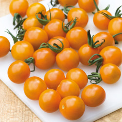 Tomate (Cerise) Cherry Orange