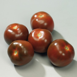Tomate Noir de Crimee