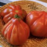 Tomate RED pear sel. gransasso